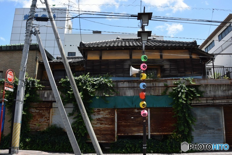 s-DSC_0071_5416