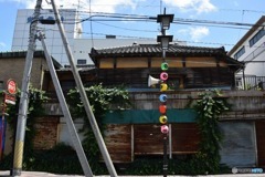 s-DSC_0071_5416