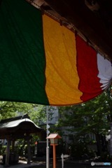 s-DSC_0069_5415