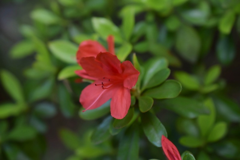 s-DSC_0030
