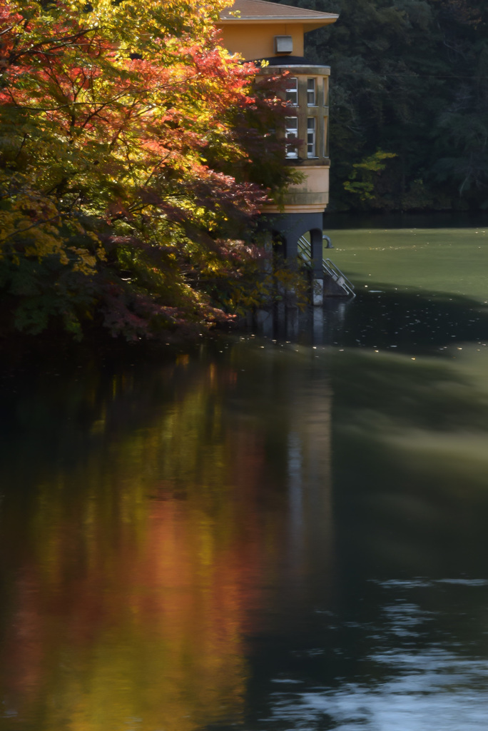 DSC_0545