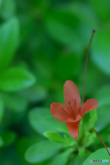 DSC_0064_01