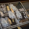 s-DSC_0107_13679