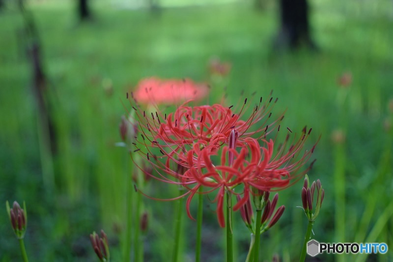 s-DSC_0036_8989