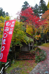 東郷公園