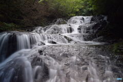 DSC_0118_6753