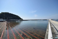 s-DSC_0003_2397