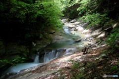 西沢渓谷 (3)