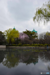 法隆寺宝物館 (2)