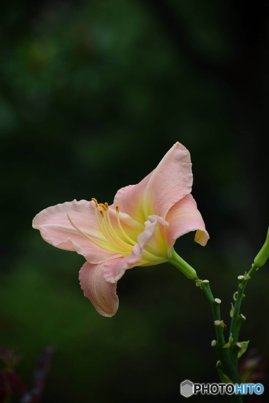 s-DSC_0069_4505