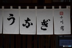 s-DSC_0250_4237