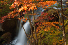 竜頭の滝 (8)