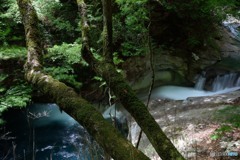 西沢渓谷 (4)