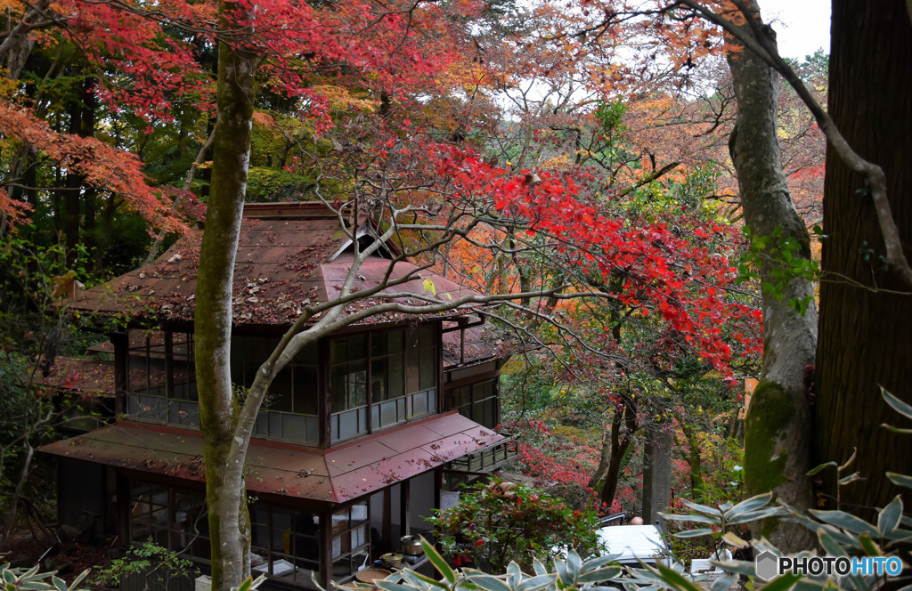 東郷公園 (4)