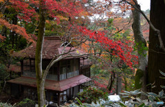 東郷公園 (4)