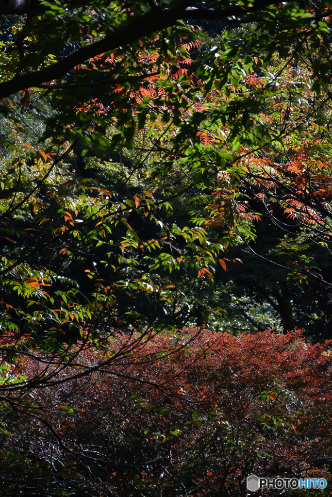DSC_0017_438