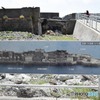 s-DSC_0246_6823