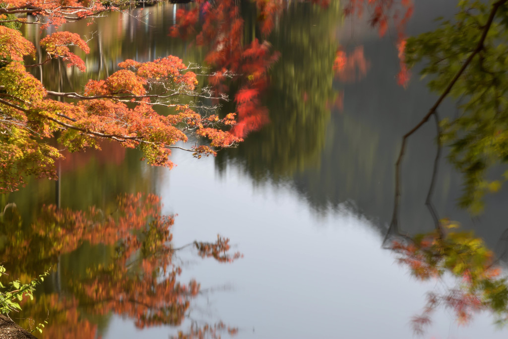鎌北湖(7)