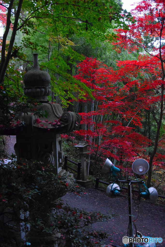 東郷公園 (20)