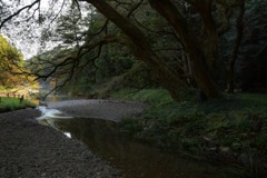 s-DSC_0012_11685