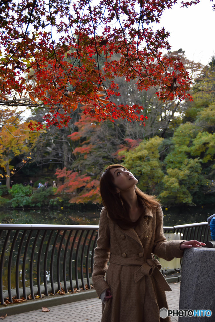 井之頭公園