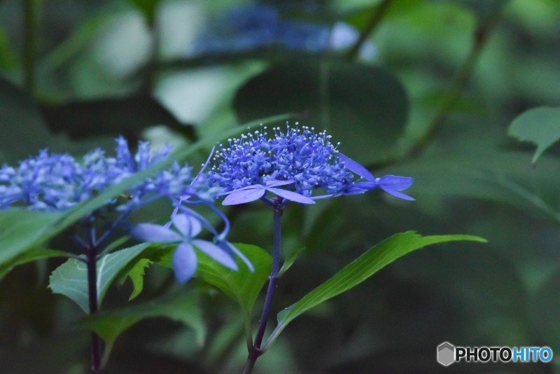 s-DSC_0081_3320
