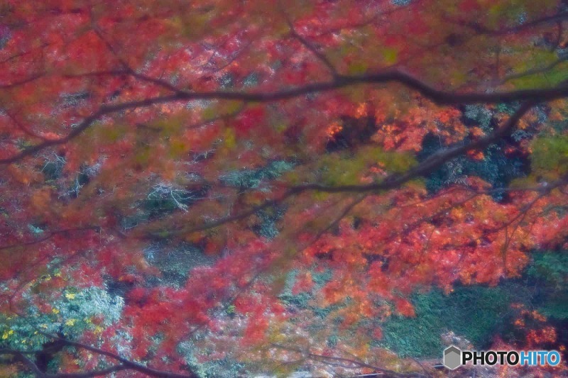 s-DSC_0096_12095
