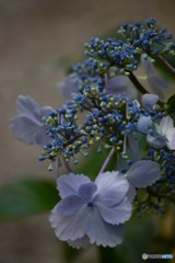 s-DSC_0101_3330