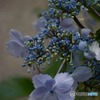 s-DSC_0101_3330