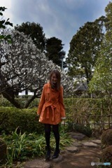 s-DSC_0352