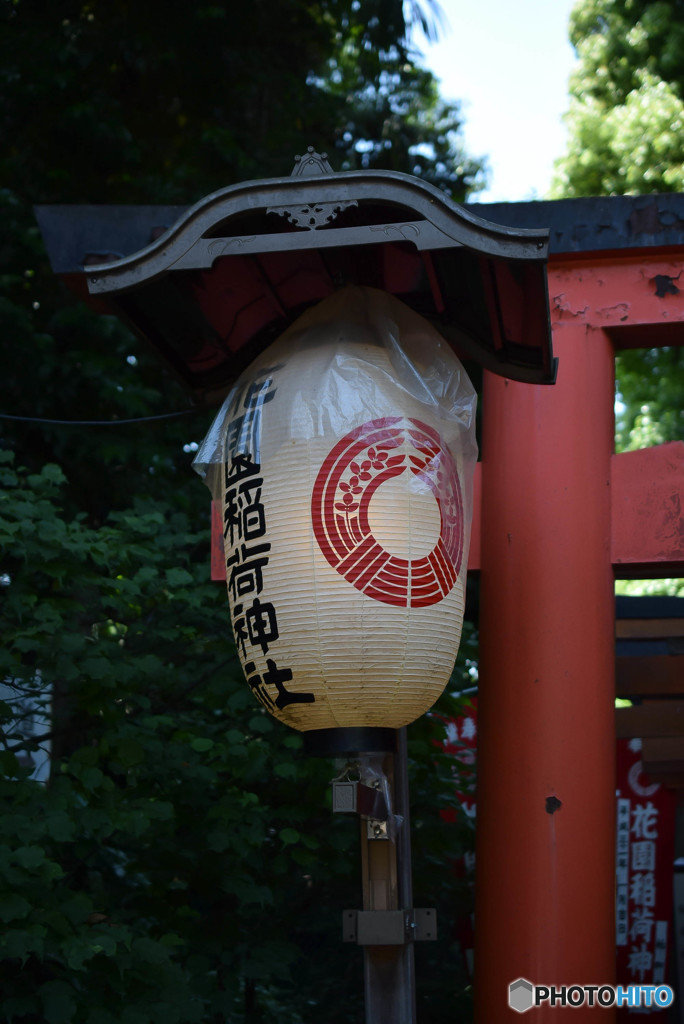 DSC_0028_2372