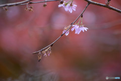 DSC_0068_816