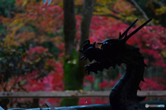 東郷公園 (3)