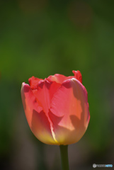 DSC_0147