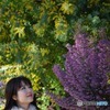 s-DSC_0669