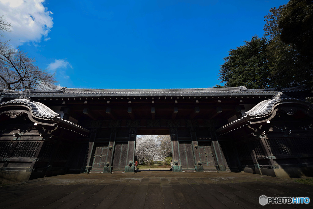 黒門(2)