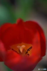 DSC_0170