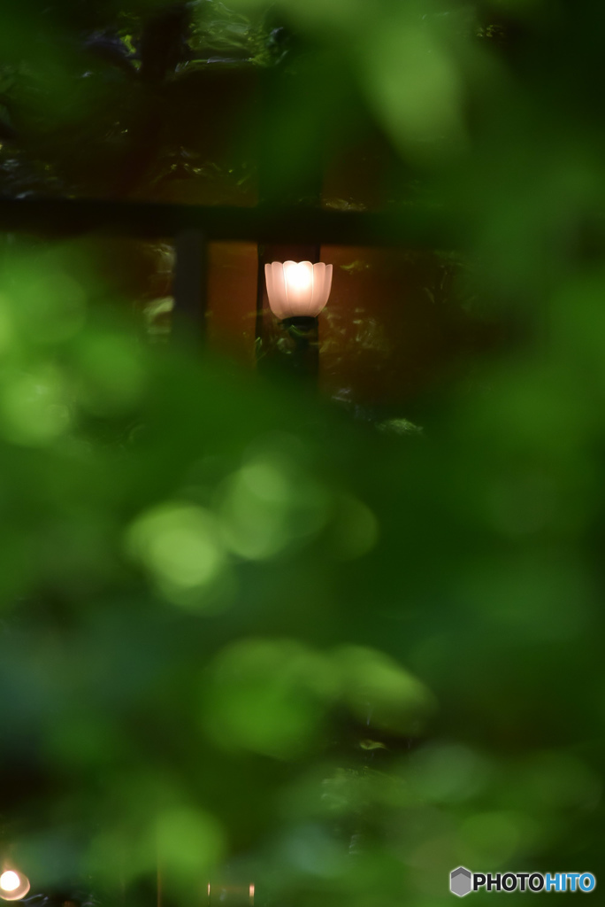 DSC_0246