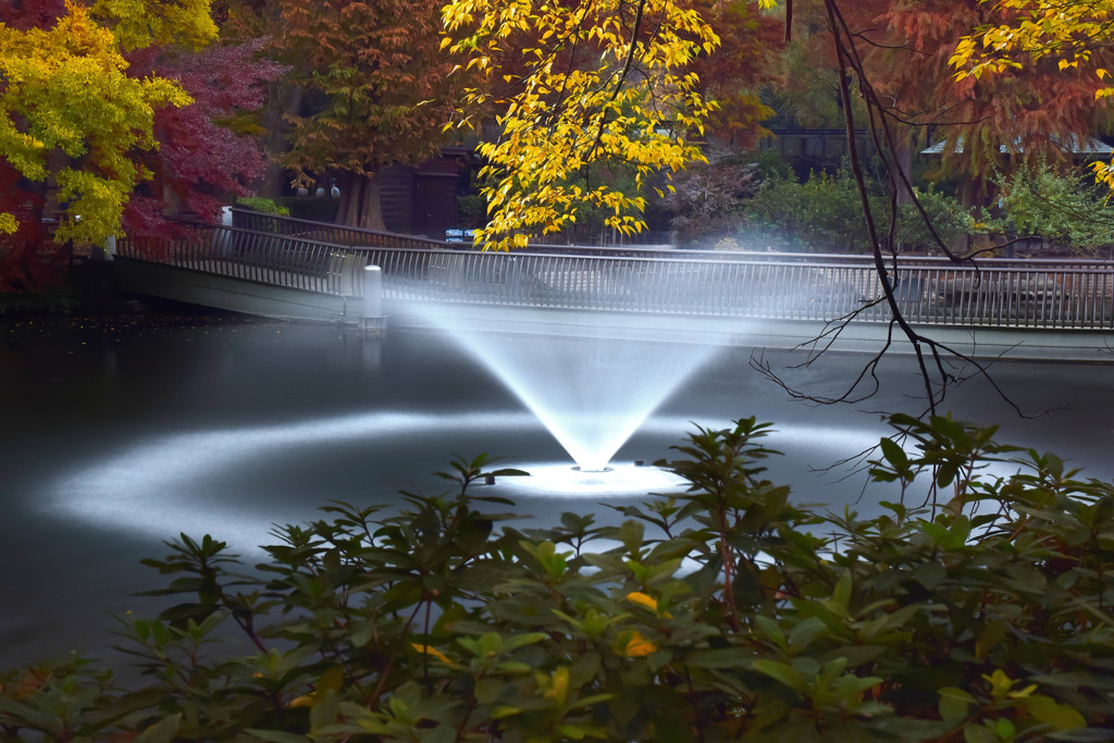 井之頭公園（２）