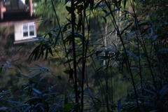 s-DSC_0029_11689