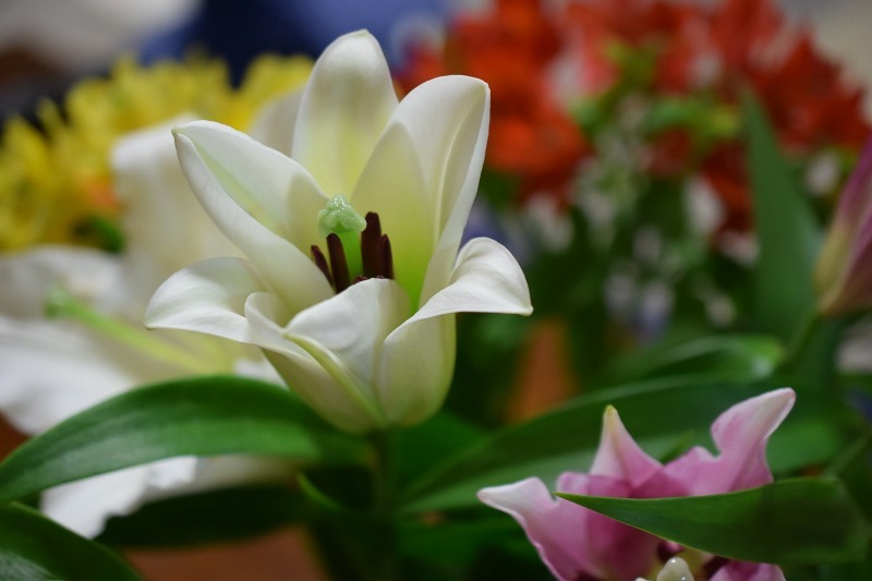 s-DSC_0005_12527