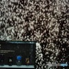 s-DSC_0179_2322