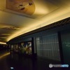 s-DSC_0072_3319
