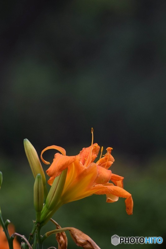 s-DSC_0102_4522