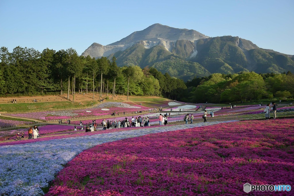 羊山公園