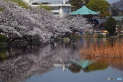 s-DSC_0174