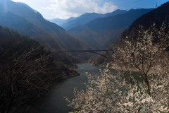 秩父さくら湖