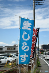 DSC_0035_7353