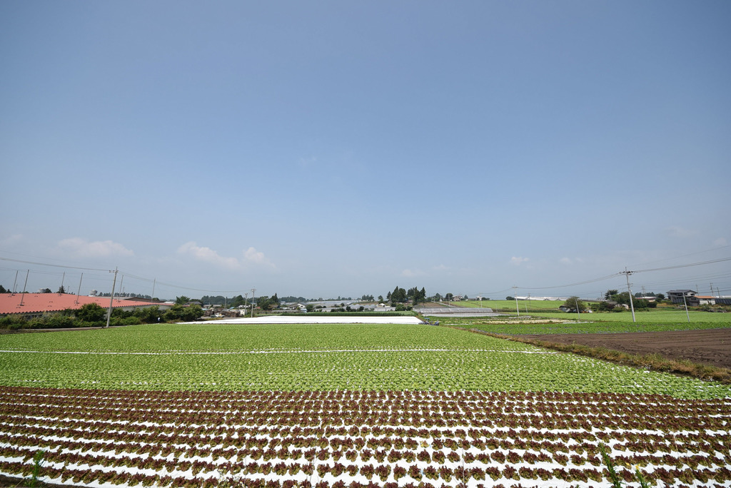 昭和村