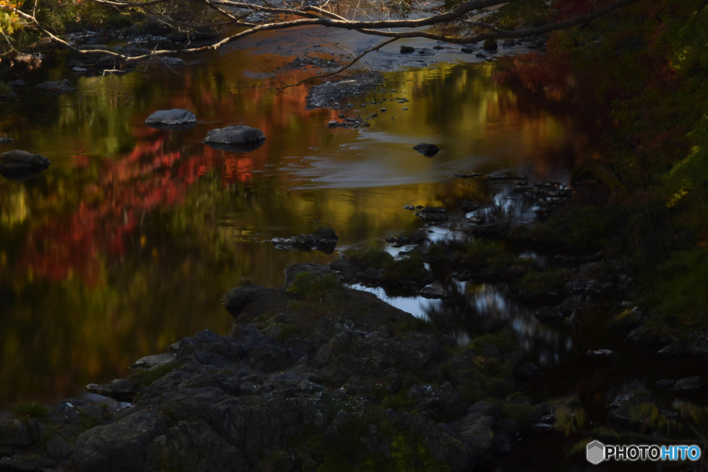 DSC_0008_928